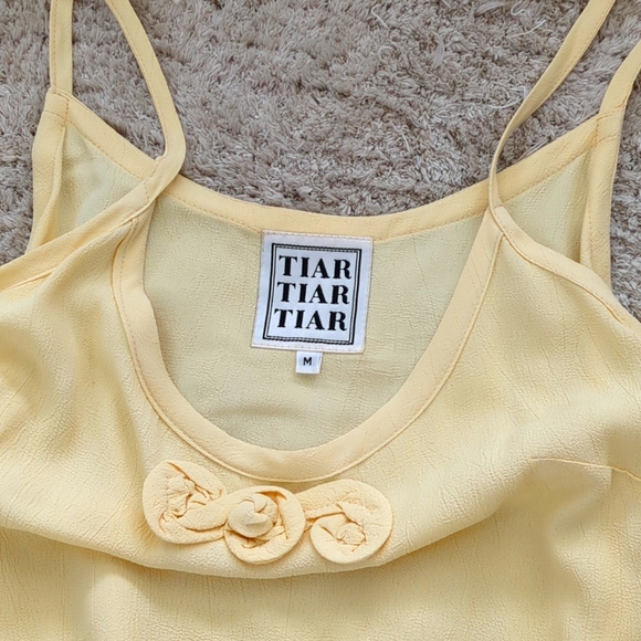 TIAR Los Angeles Skirt and Camisole set - Picture 3 of 9